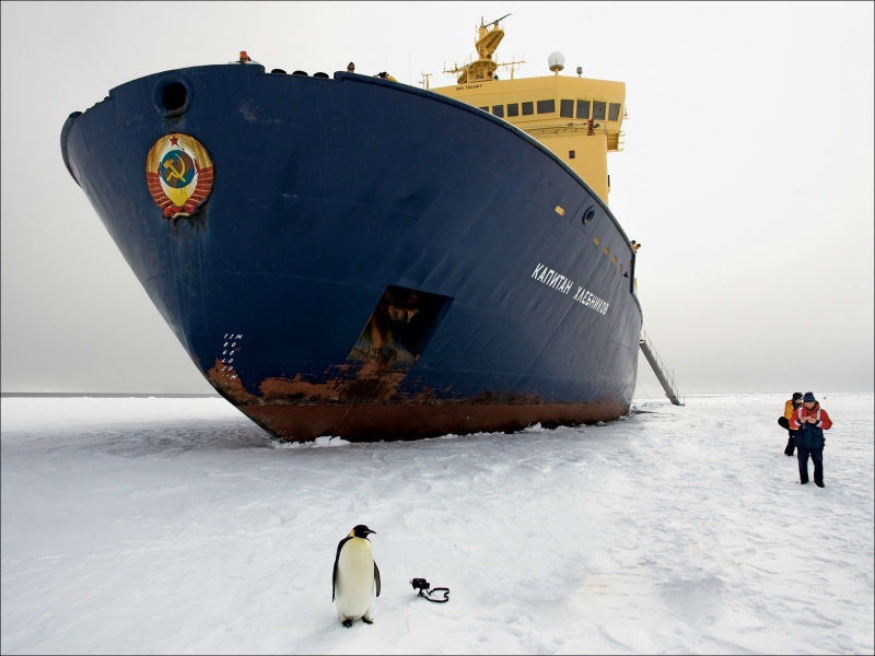 Journey to Antarctica - , , , Longpost