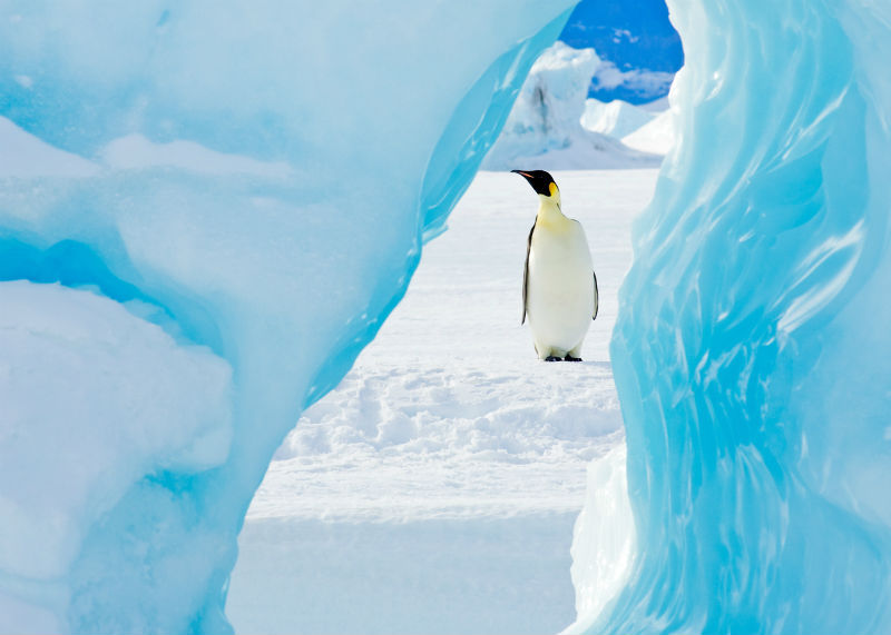 Journey to Antarctica - , , , Longpost