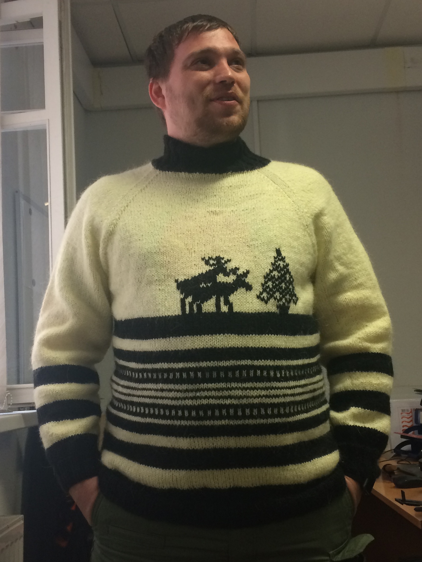 Getting ready for winter. - My, Pullover, Sweater with deers, Creation