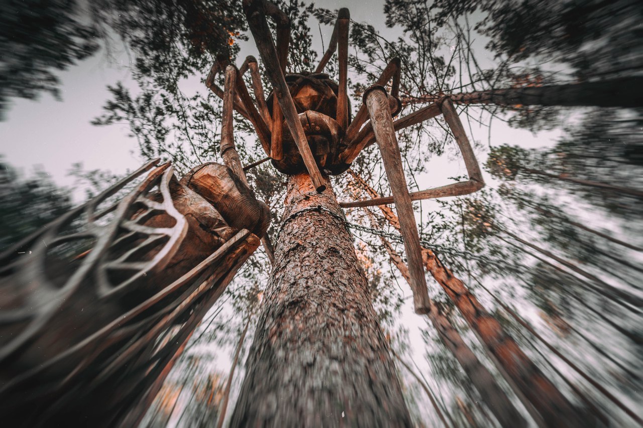 Green oak by the seaside - Lukomorye, Wood sculpture, Master, Angarsk, Longpost, Irkutsk region, Irkutsk