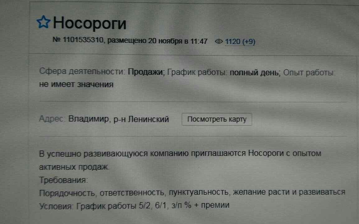 Кто это? - Работа, Носорог, Кто это?