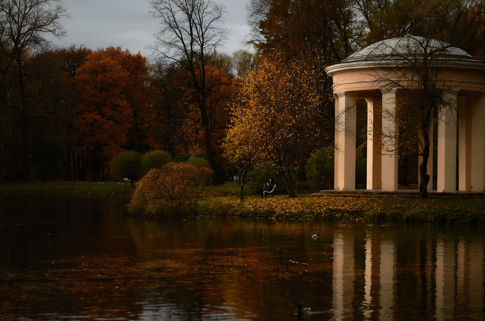 Ekateringof - My, The photo, Autumn, Saint Petersburg, Ekateringof