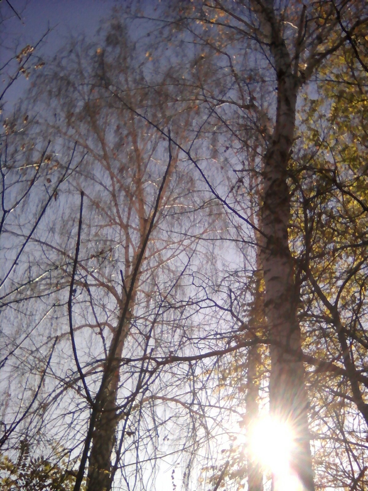 Autumn (Photo from the phone.) - My, Autumn, Nature, Nature photo, dawn, Orenburg, Longpost