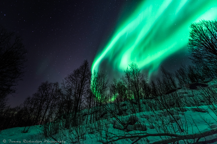 Northern lights in Yakutia - Polar Lights, Yakutia