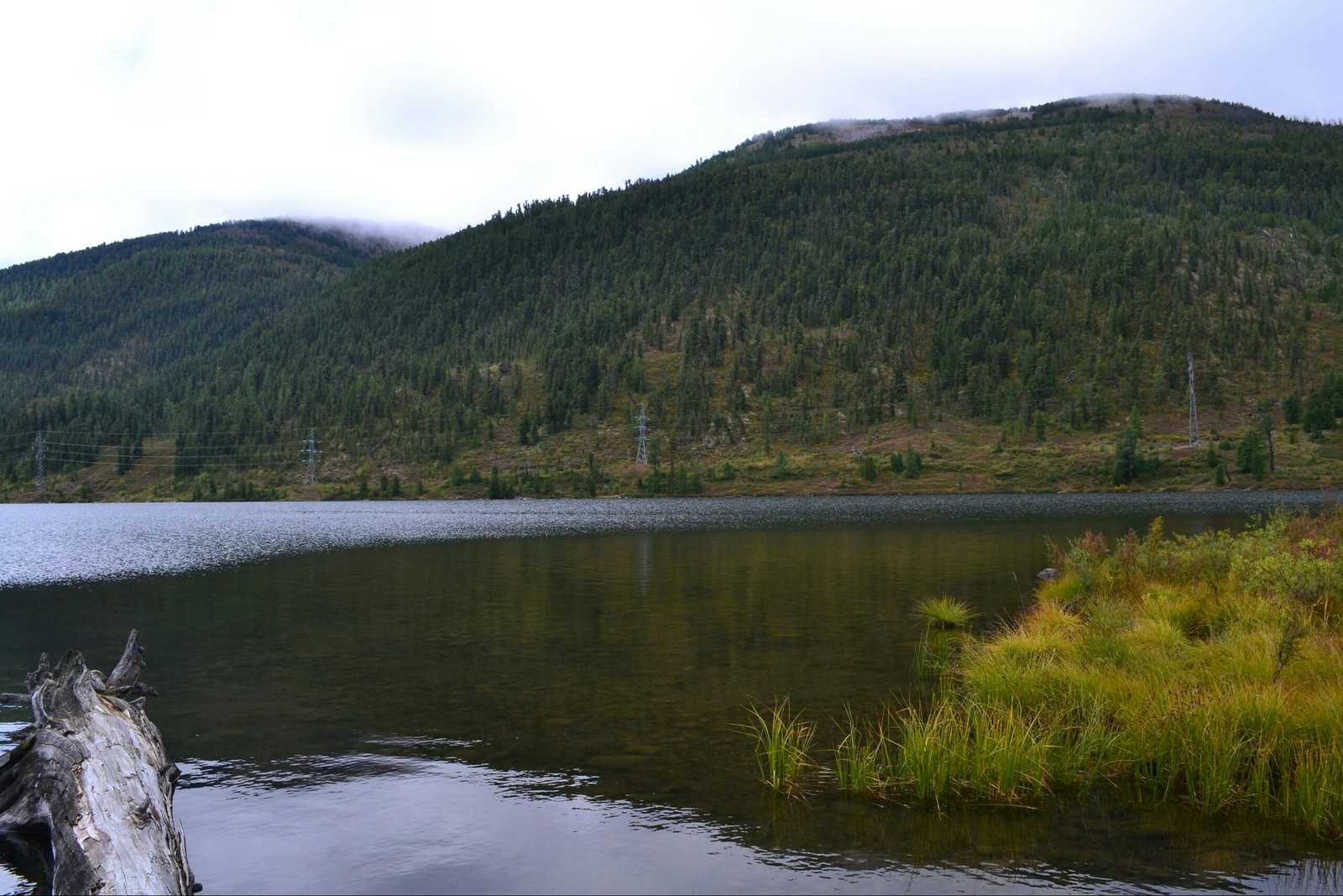 Gorny Altai in summer - My, Altai, Nature, The photo, Longpost, Altai Republic