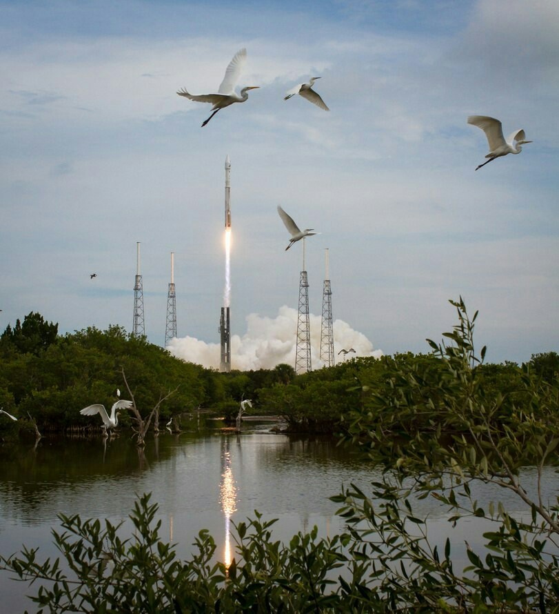 Harmony - Rocket, Nature and man, Flight, Birds, Harmony, Cosmodrome, Nature