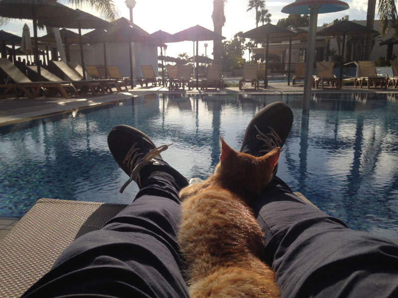 And let the whole world wait...... - My, Fitness, Travels, Winter, cat, Cyprus