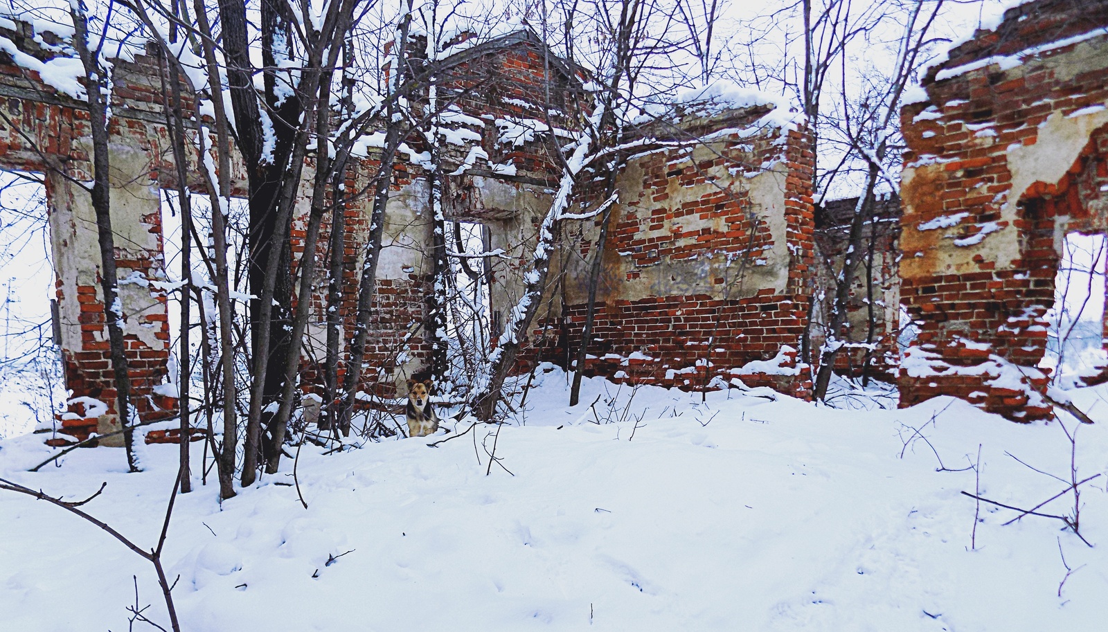 Extinct villages around the dead hollow - My, Travels, Frozen time, Fuck aesthetics, Winter, Abandoned villages, Video, Longpost