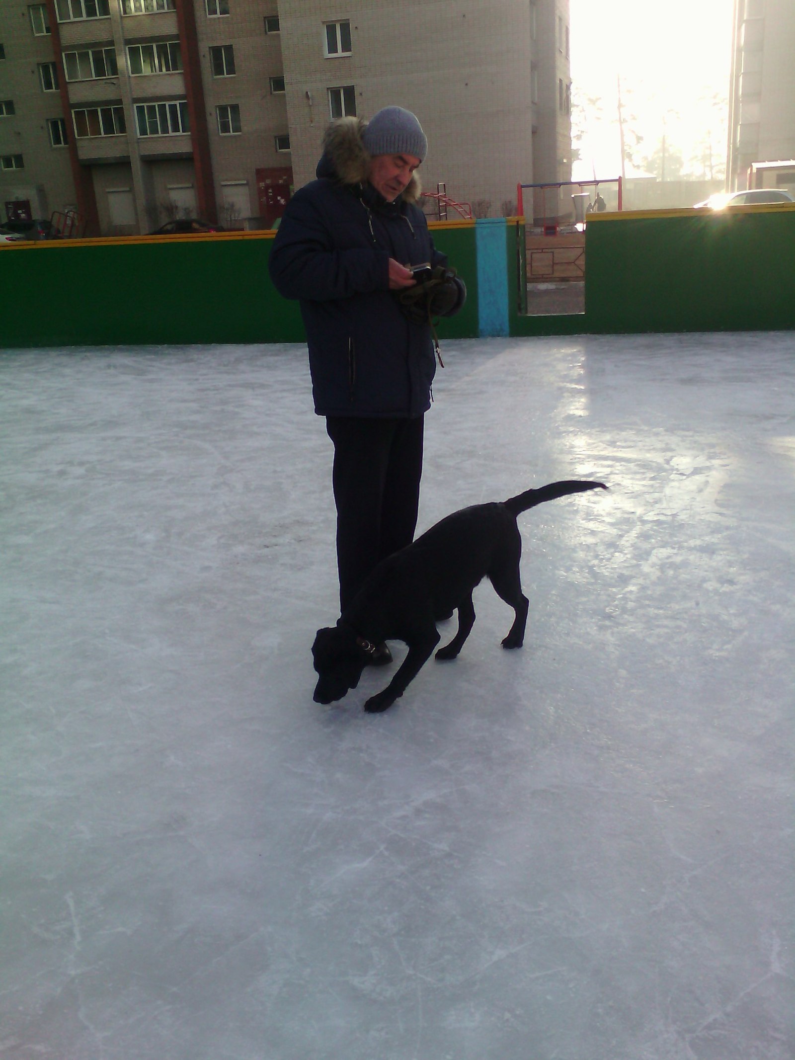 The whole yard is writing a statement to the Police about this mud @ ka ... He walks the dog, at the rink - My, Dog lovers, Dog