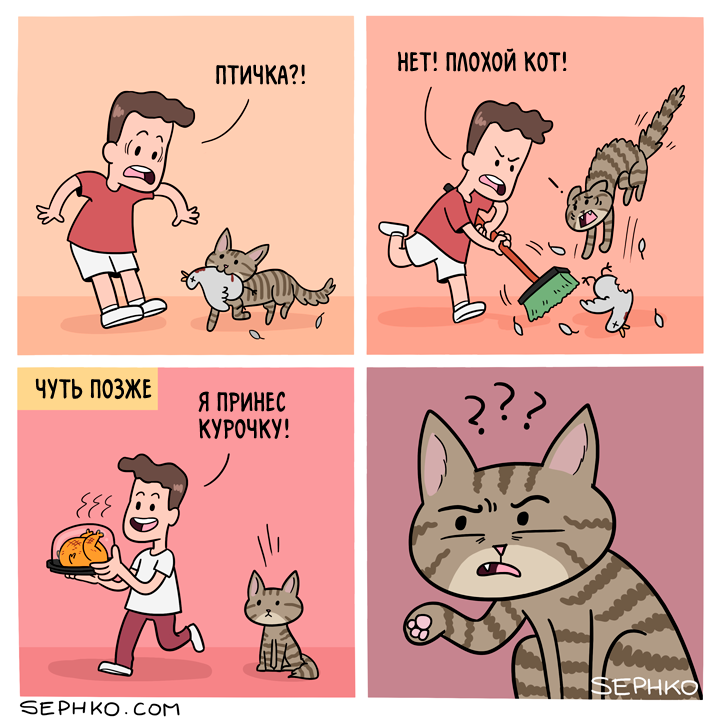 Poor cat - Comics, Sephko, Translated by myself, cat