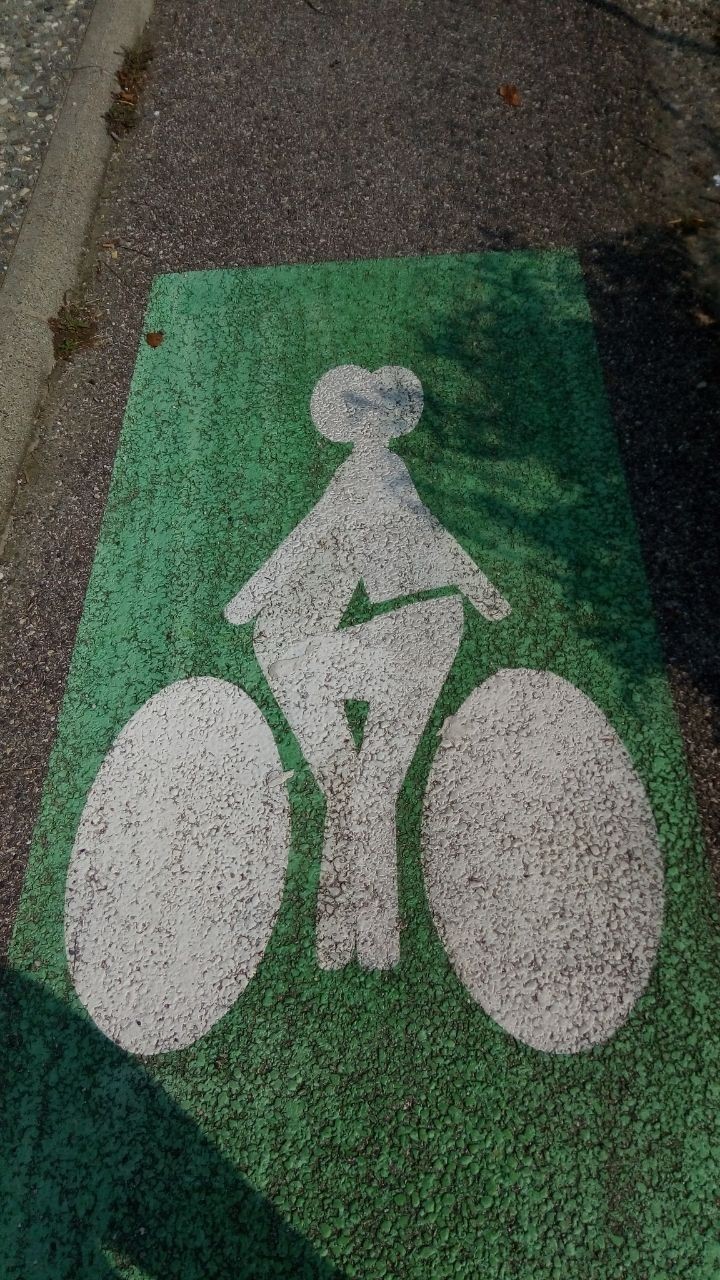 Bicycle markings - My, Bike path, Markup, France, Connoisseur