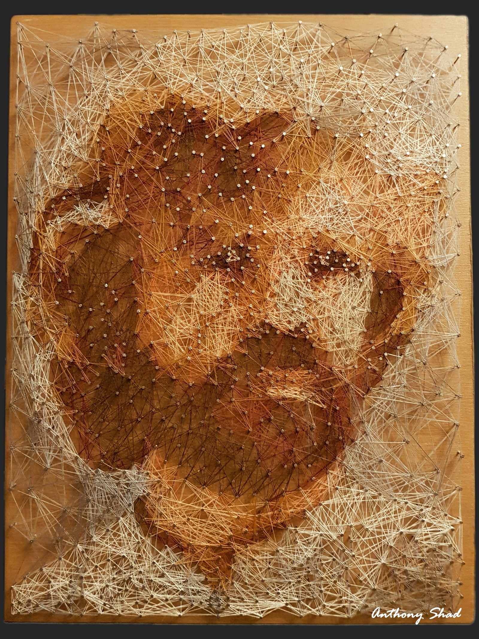 Peter Dinklage (Tyrion Lannister, Game of Thrones) - Peter Dinklage, Tyrion Lannister, Game of Thrones, String Art, Celebrities, Creation