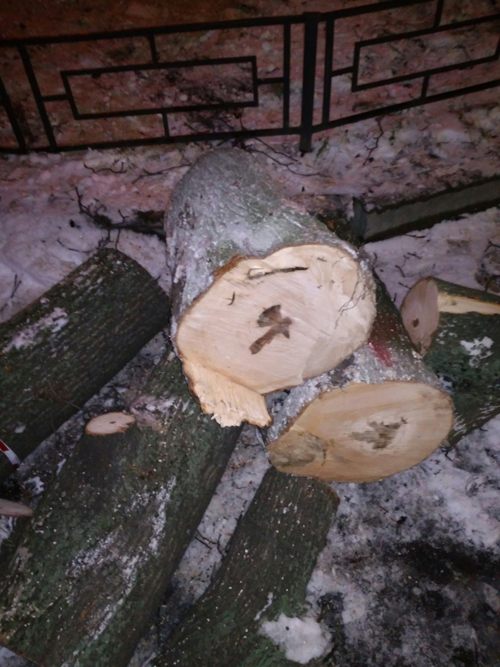 Murder weapon on a felled tree) - My, Tree, Drawing, Nature, Longpost, Axe