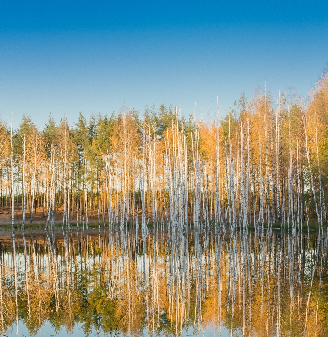 Lake Izyary in October - My, Chuvashia, Cheboksary, Zavolzhye, , Lake, Forest, Autumn, October, Longpost