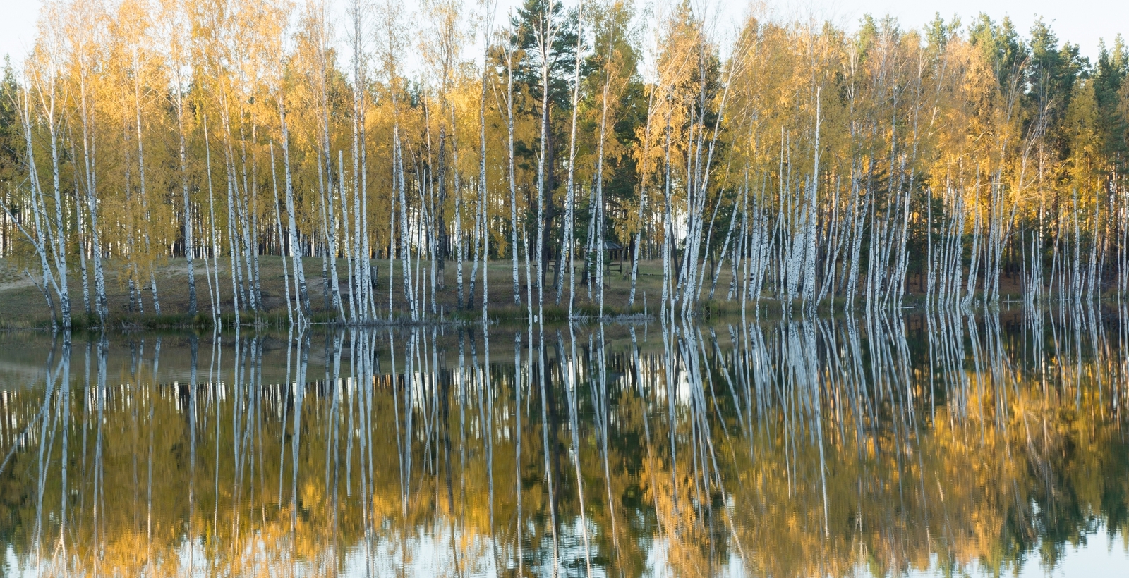 Lake Izyary in October - My, Chuvashia, Cheboksary, Zavolzhye, , Lake, Forest, Autumn, October, Longpost