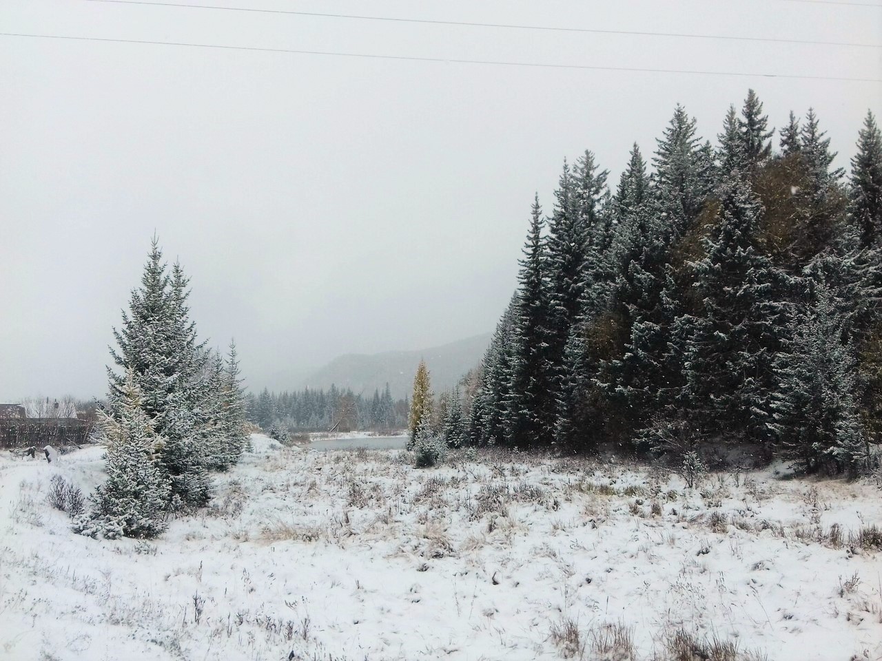 Snow in the forest! - My, Winter, Snowball, Autumn, The nature of Russia, Longpost