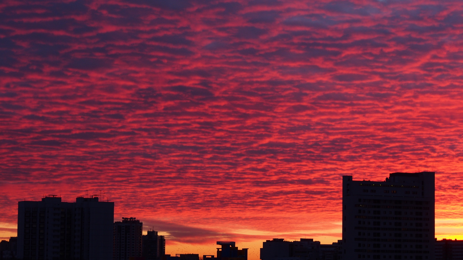 The sky is beautiful. Raise your head! - My, Sky, Sunset, Starry sky, Clouds, Beautiful, Photo on sneaker, Longpost