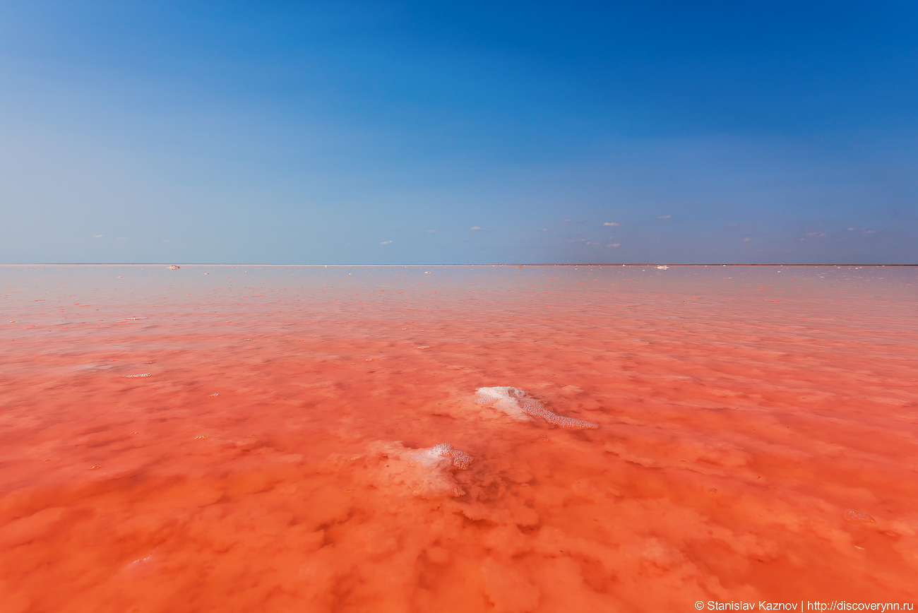 Blooming Elton - My, Elton, Lake Elton, Travels, Russia, The photo, Photographer, Photo tour, Salt, Longpost