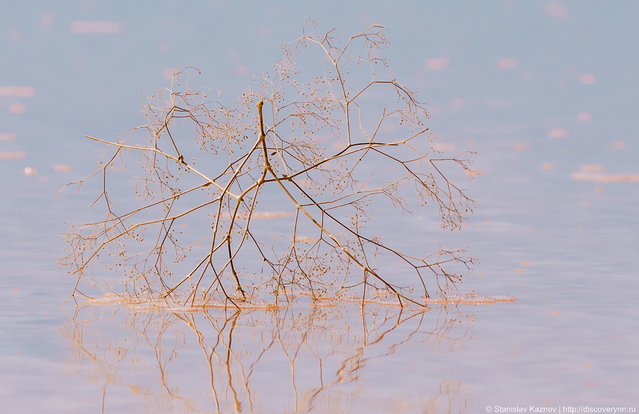 Blooming Elton - My, Elton, Lake Elton, Travels, Russia, The photo, Photographer, Photo tour, Salt, Longpost