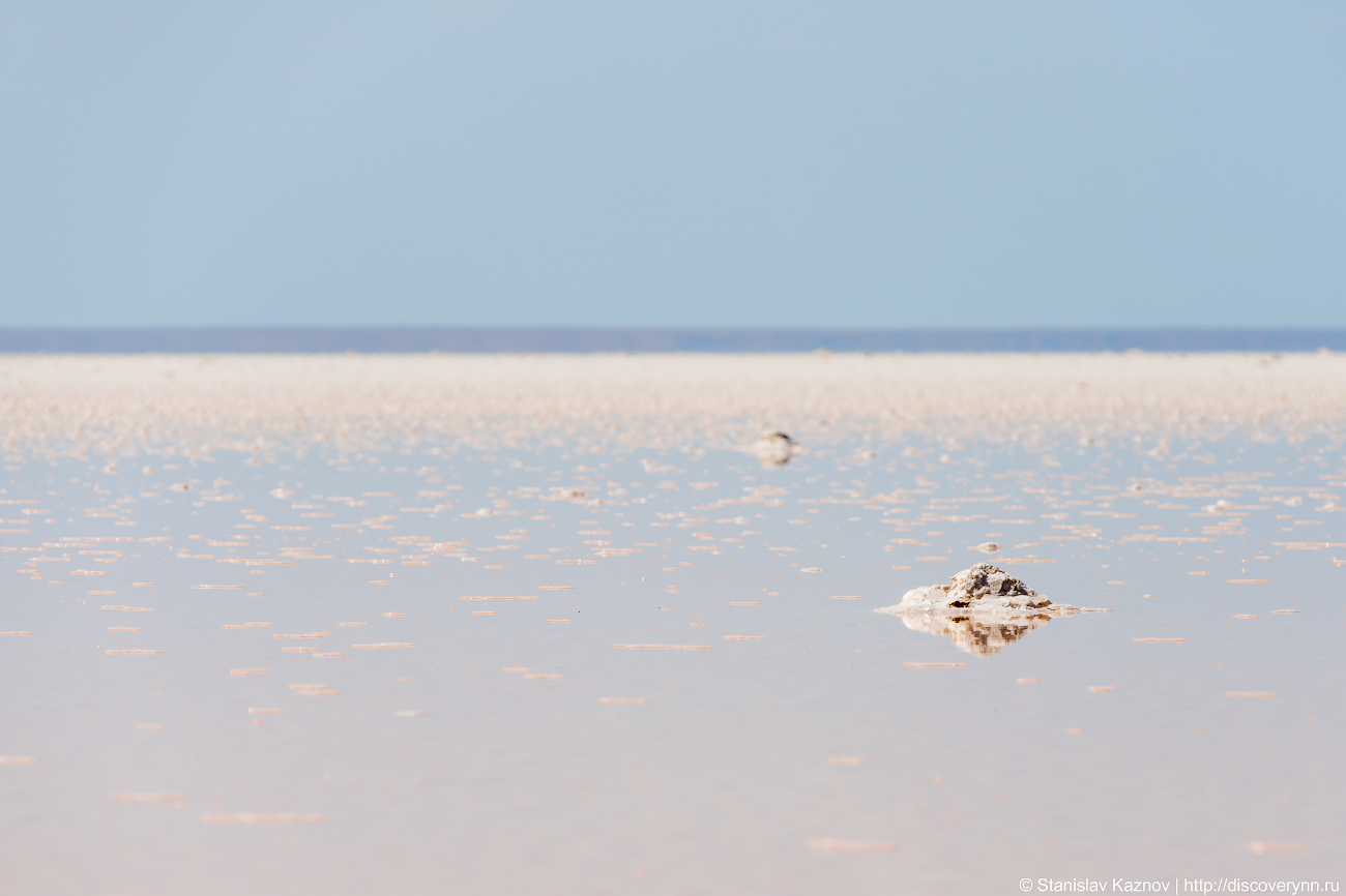 Blooming Elton - My, Elton, Lake Elton, Travels, Russia, The photo, Photographer, Photo tour, Salt, Longpost