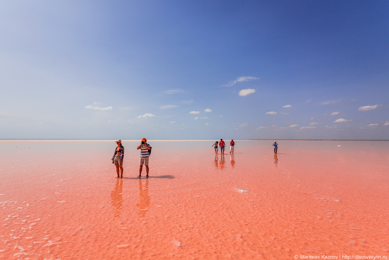 Blooming Elton - My, Elton, Lake Elton, Travels, Russia, The photo, Photographer, Photo tour, Salt, Longpost