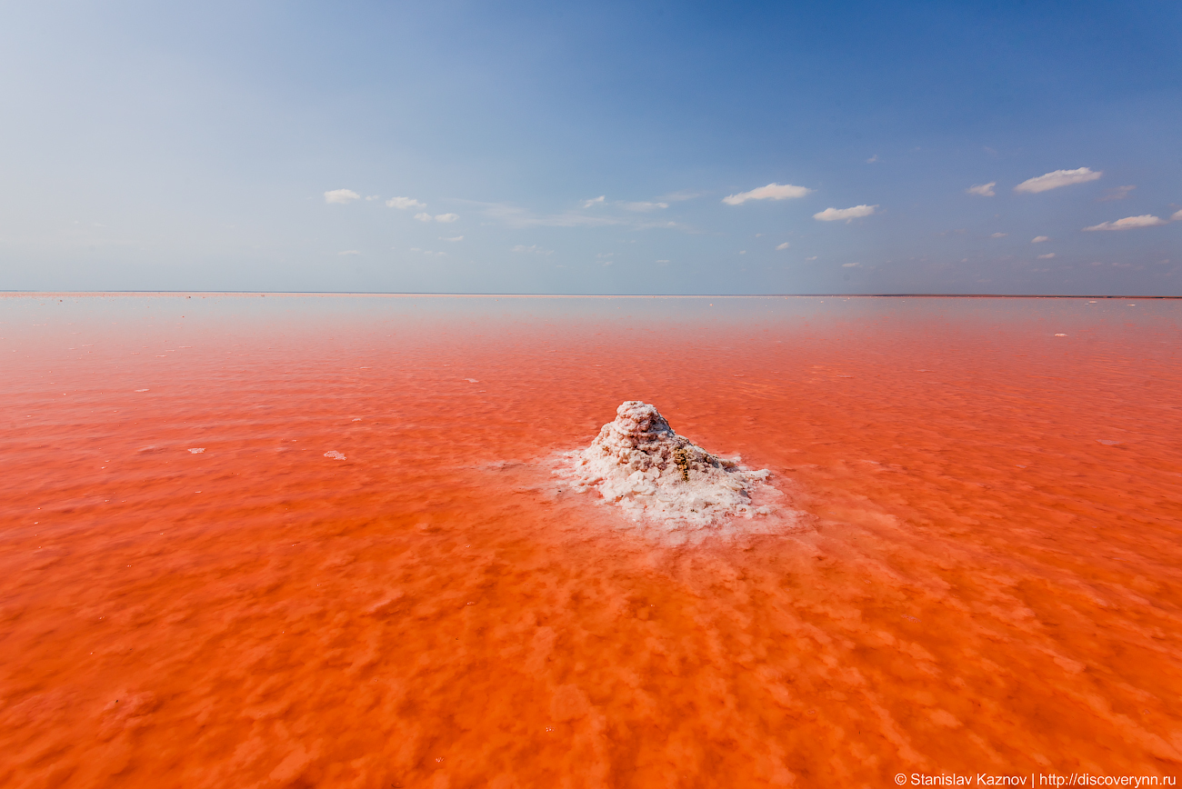 Blooming Elton - My, Elton, Lake Elton, Travels, Russia, The photo, Photographer, Photo tour, Salt, Longpost