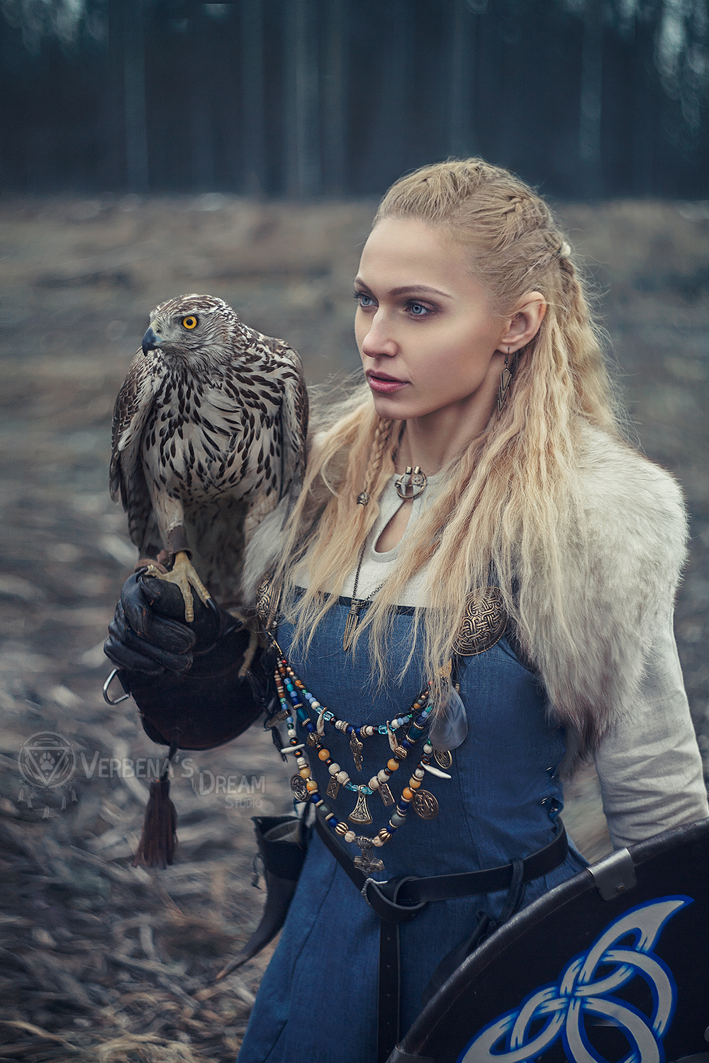 Vikings by Verbena's Dream Studio - Викинги, Nordic, Scandinavia, North, Valkyrie, Cosplay, Longpost