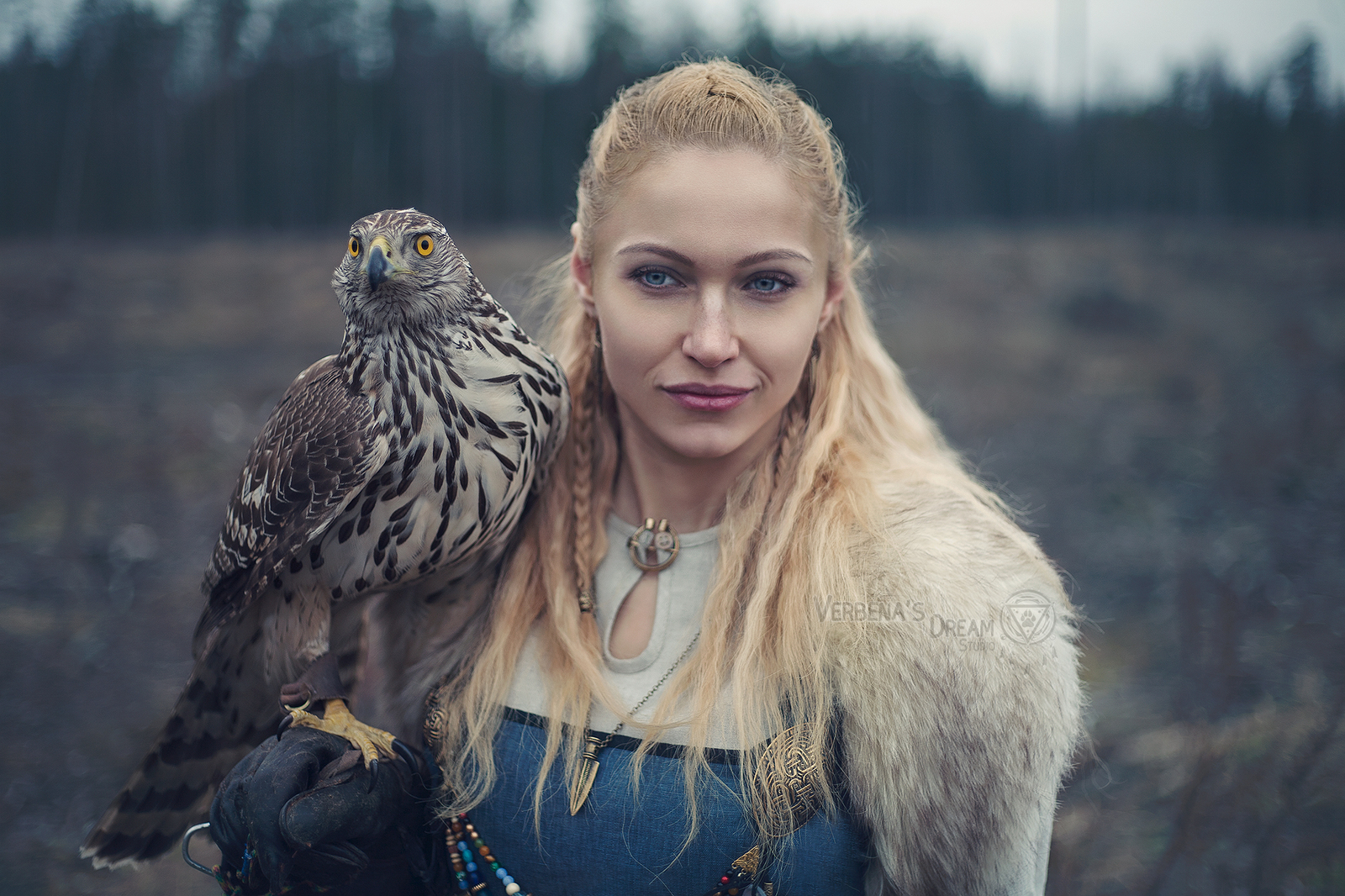 Vikings by Verbena's Dream Studio - Викинги, Nordic, Scandinavia, North, Valkyrie, Cosplay, Longpost