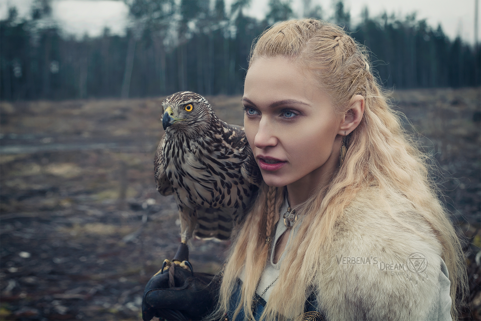 Vikings by Verbena's Dream Studio - Викинги, Nordic, Scandinavia, North, Valkyrie, Cosplay, Longpost