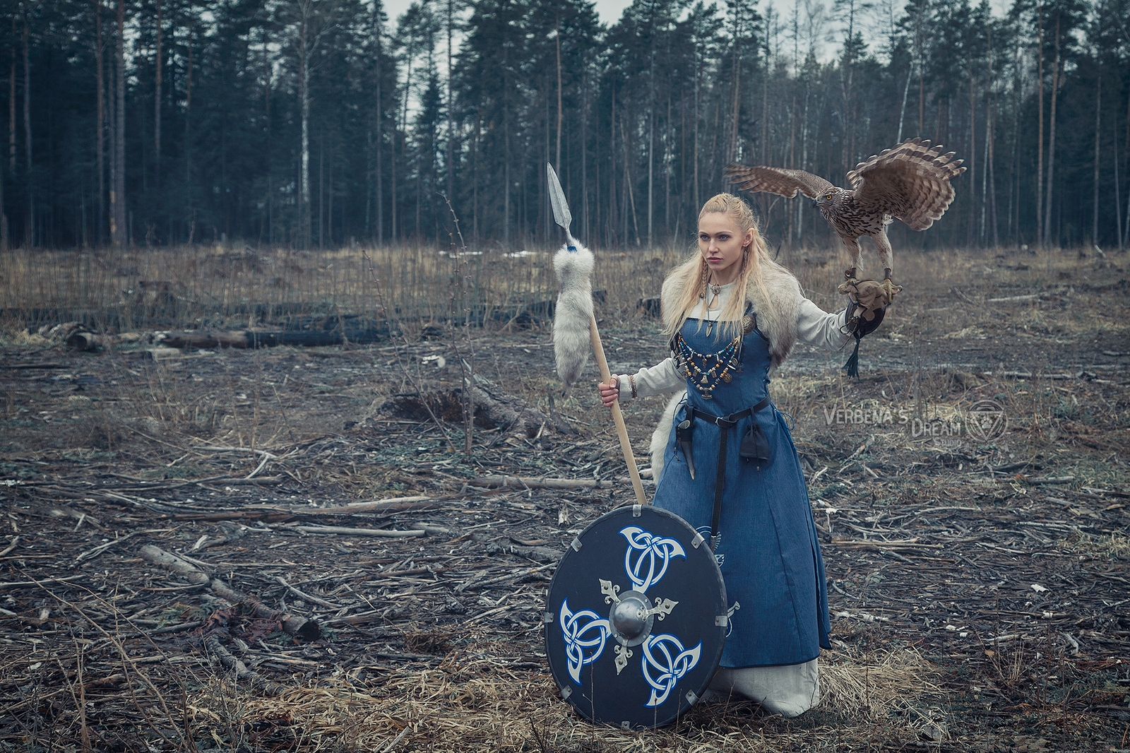 Vikings by Verbena's Dream Studio - Викинги, Nordic, Scandinavia, North, Valkyrie, Cosplay, Longpost