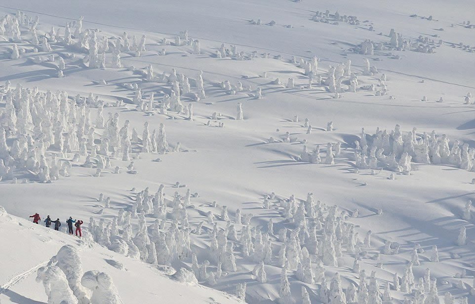 Mountains of Hakkoda (Aomori Prefecture, Japan) under the snow. - The photo, The mountains, Japan, Snow, Not mine, Longpost