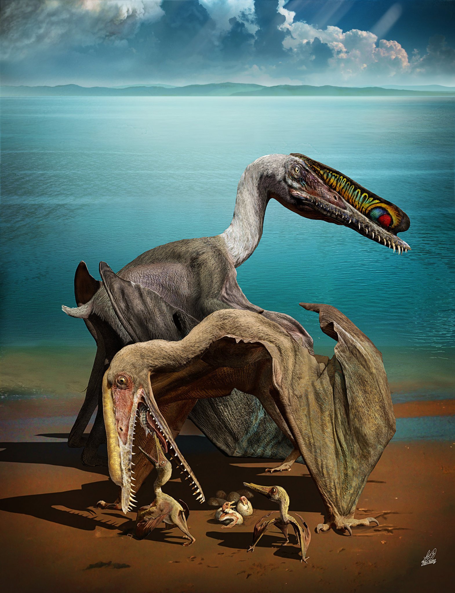 This time the pterosaurs were not lucky... Hundreds of eggs of flying lizards were found in China. - My, Pterosaurs, Excavations, Fossils, Translation, Longpost
