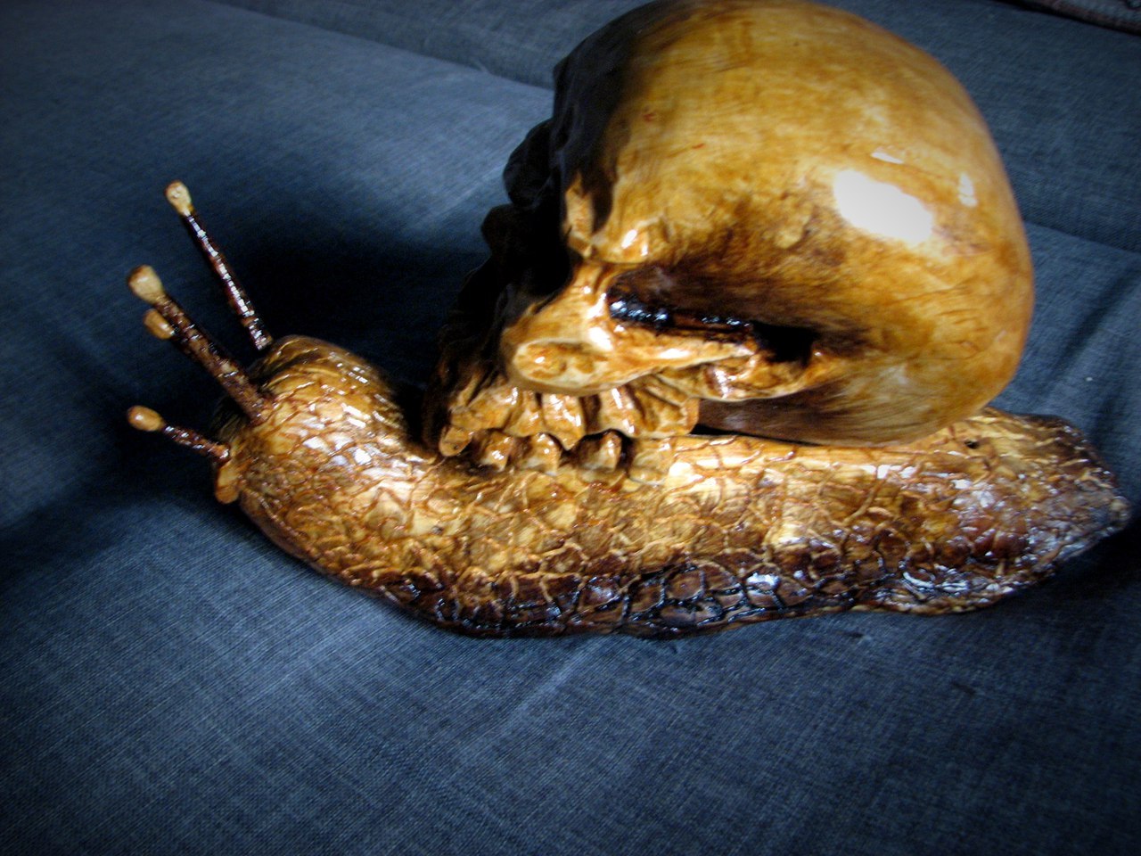 Snail skull, wood carving - My, , Wood carving, Snail, Scull, Longpost