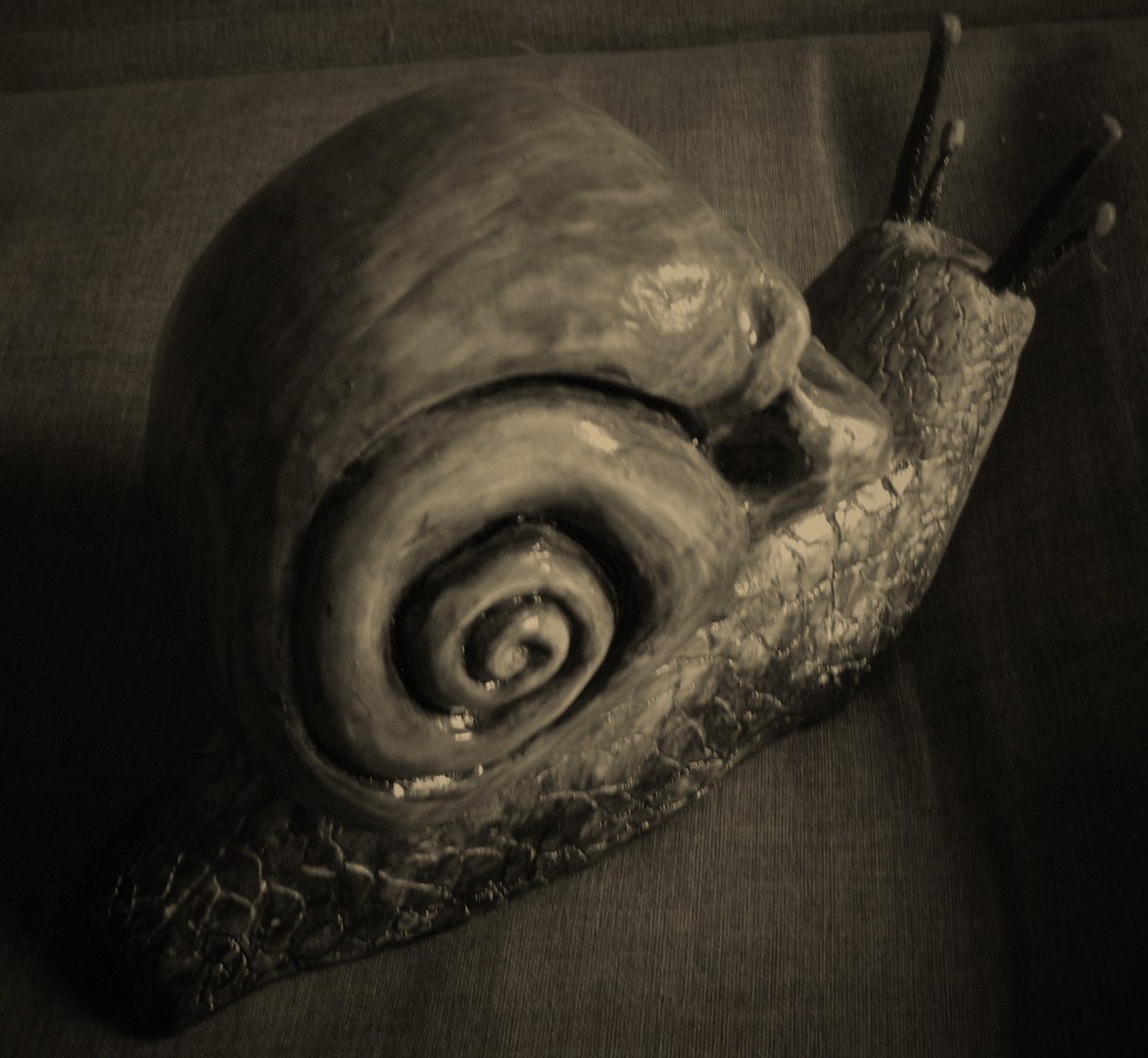 Snail skull, wood carving - My, , Wood carving, Snail, Scull, Longpost