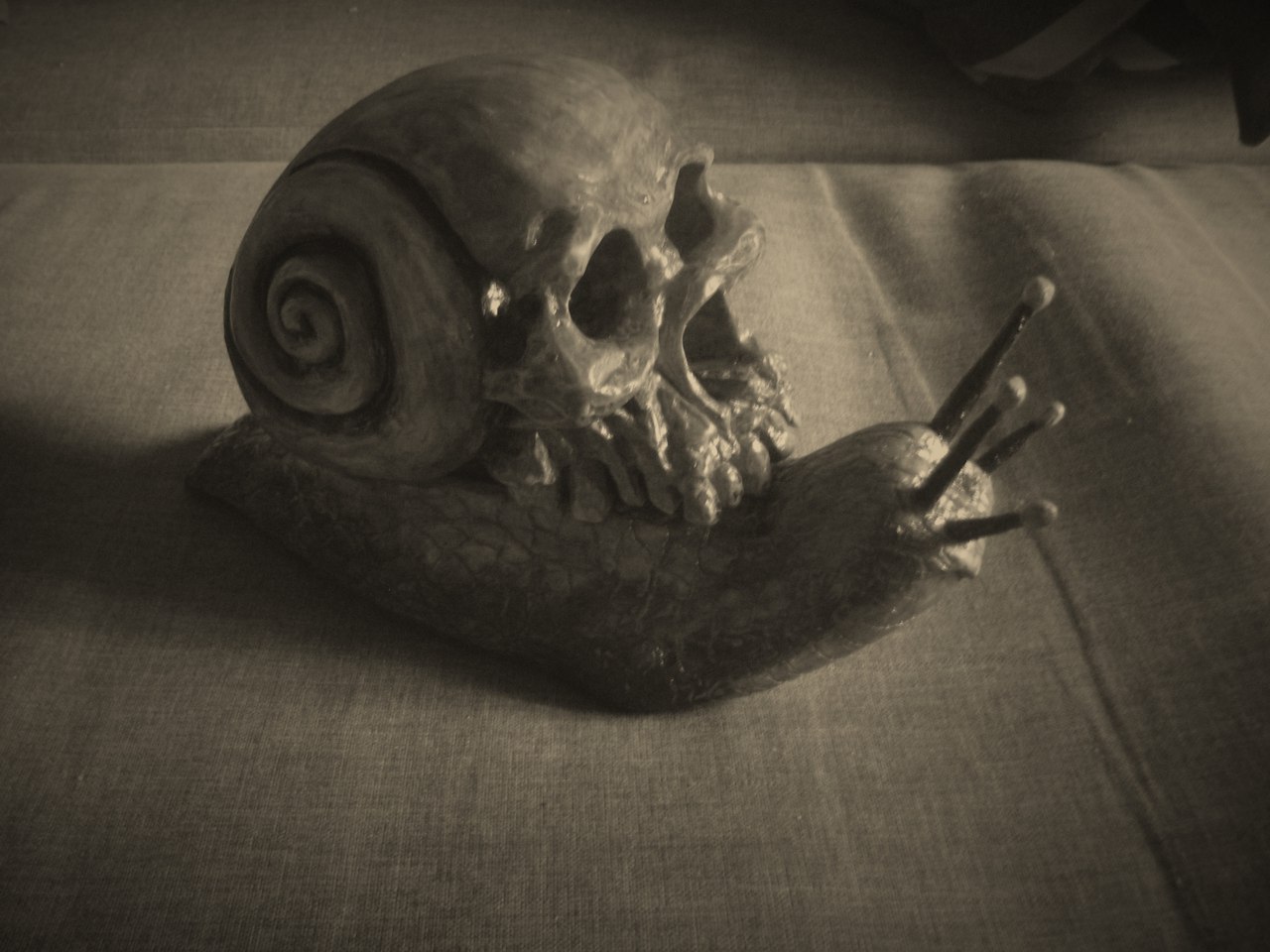 Snail skull, wood carving - My, , Wood carving, Snail, Scull, Longpost