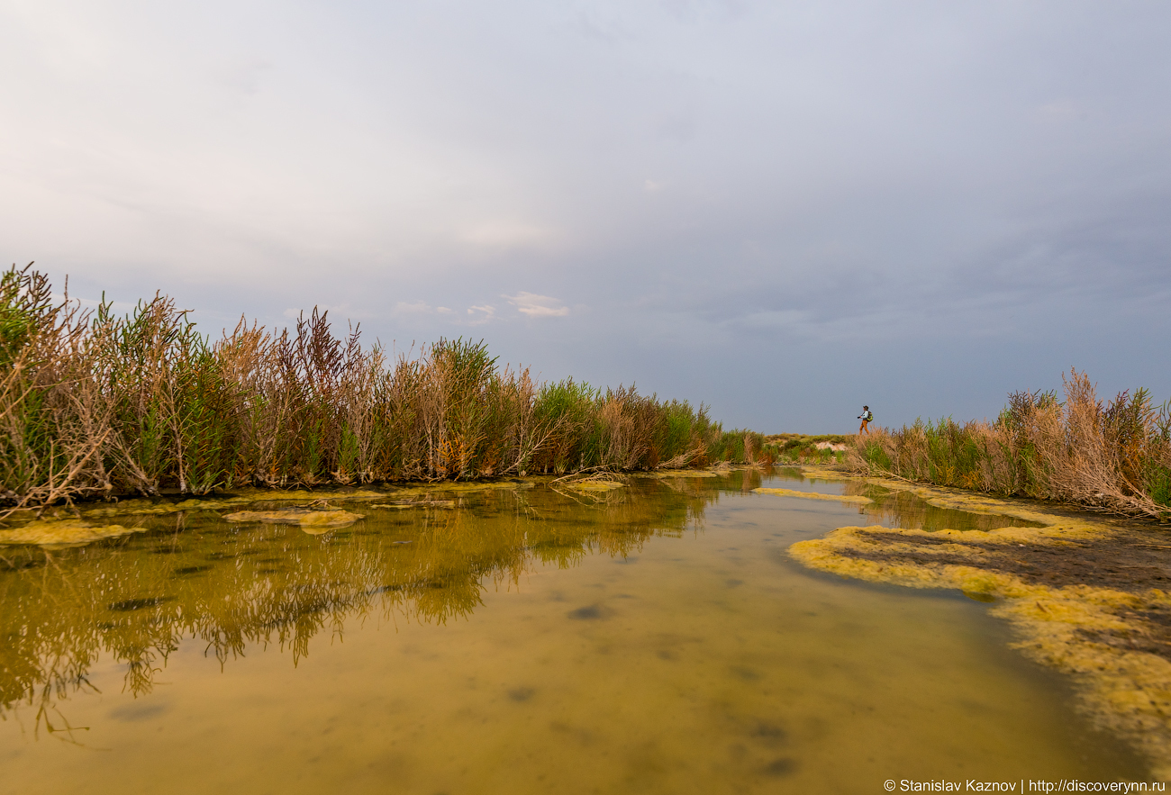 Elton: steppe landscapes and the last sunset - My, Elton, Lake Elton, Travels, Russia, The photo, Photographer, Photo tour, Longpost