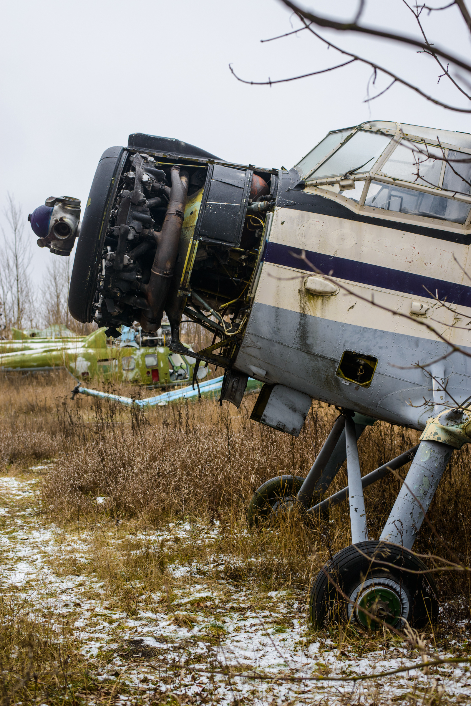 Abandoned airfield Volchansk - My, Abandoned, Aerodrome, Aviation, Vovchansk, Zabugornyurban, l-29, An-2, Airplane, Video, Longpost