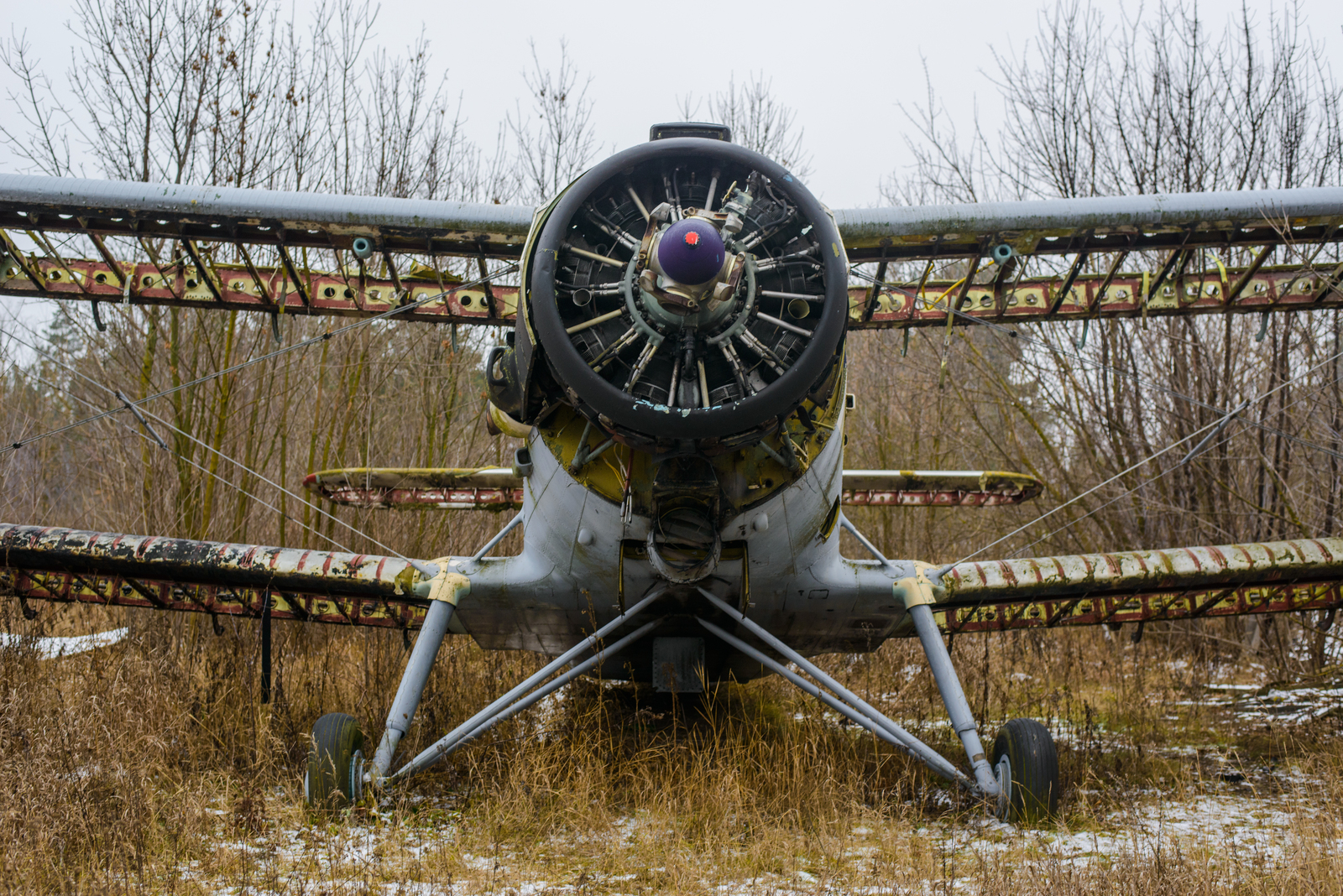 Abandoned airfield Volchansk - My, Abandoned, Aerodrome, Aviation, Vovchansk, Zabugornyurban, l-29, An-2, Airplane, Video, Longpost