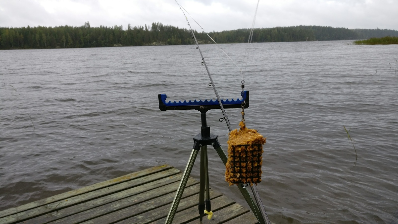 Does Finnish bream bite on domestic bait? - My, Fishing, Feeder, Bream, Finland, Saimaa, Video, Longpost