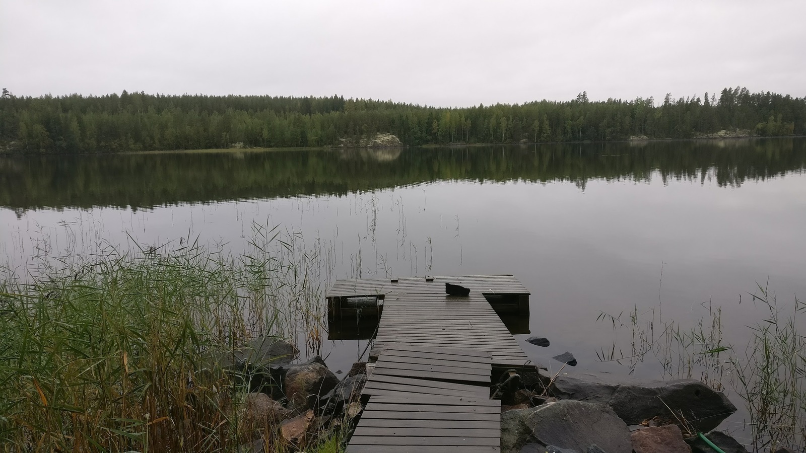 Does Finnish bream bite on domestic bait? - My, Fishing, Feeder, Bream, Finland, Saimaa, Video, Longpost