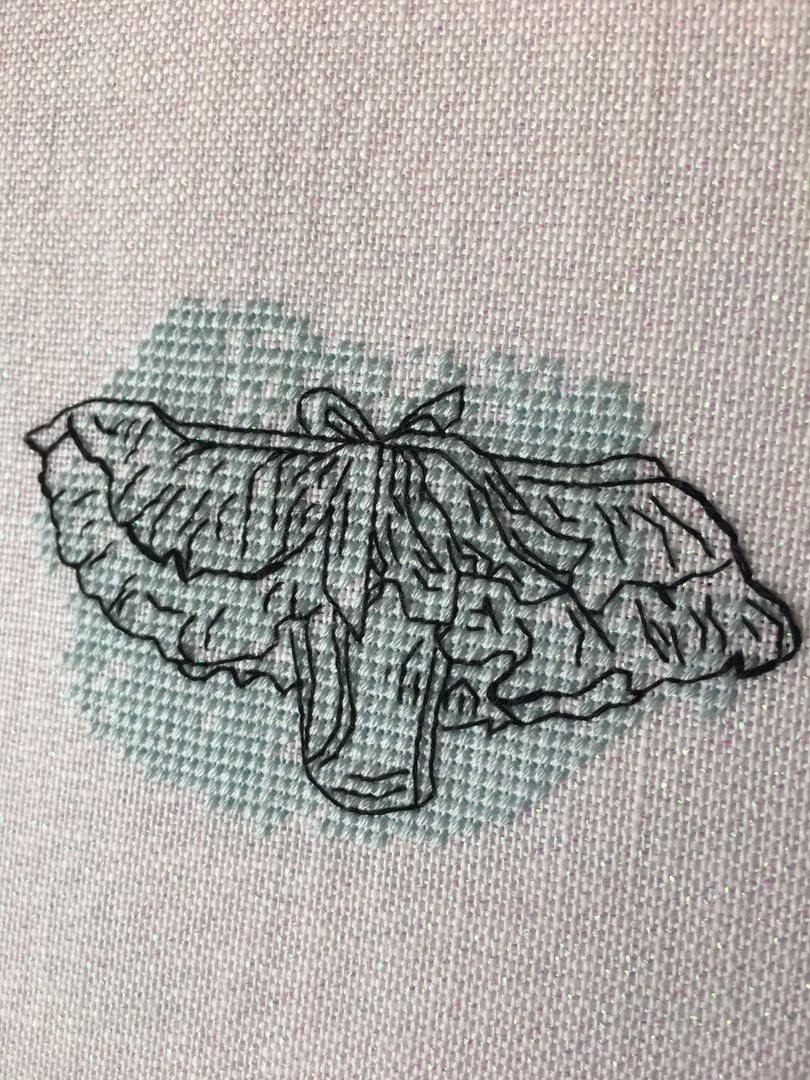 Favorite underwear. - My, Embroidery, Needlework without process, Cross-stitch, Underwear, Copyright, My, Longpost, Scheme