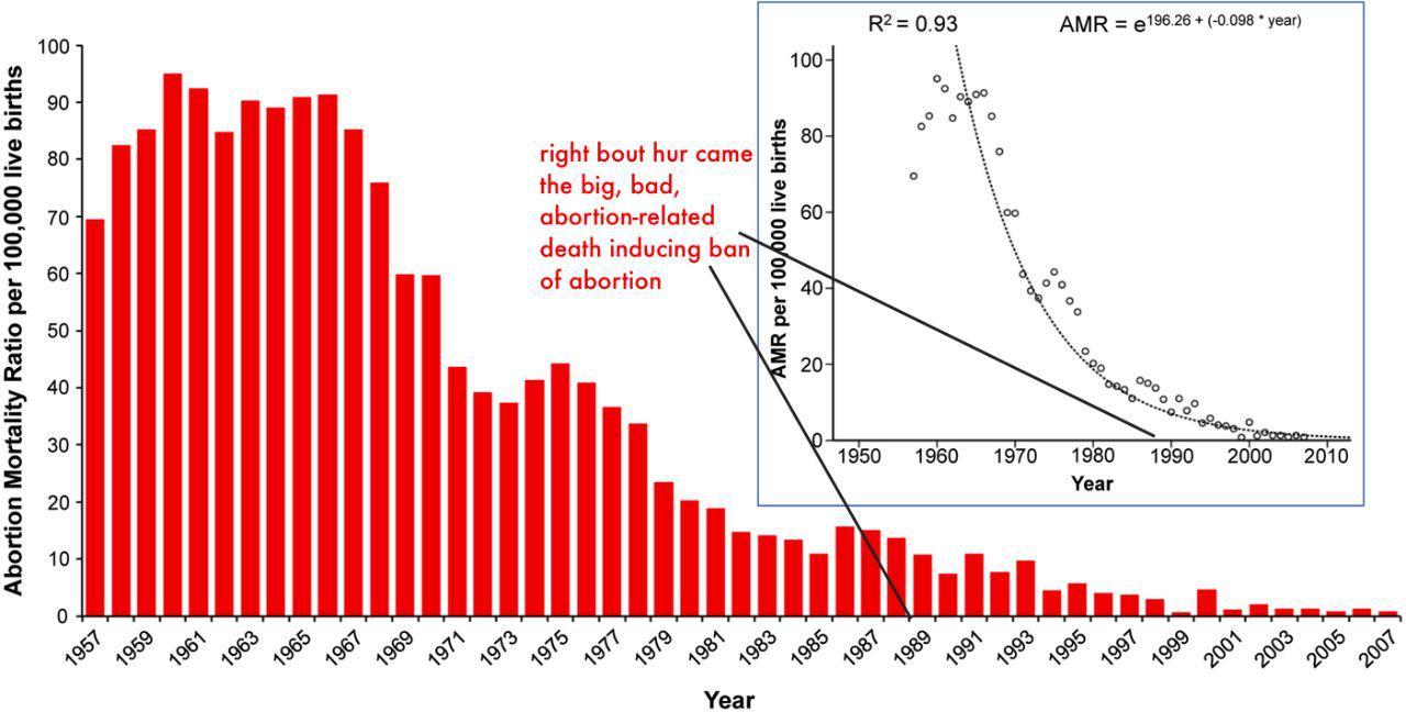 Если запретить аборты, женщины будут их делать незаконно и от этого  умирать». | Пикабу