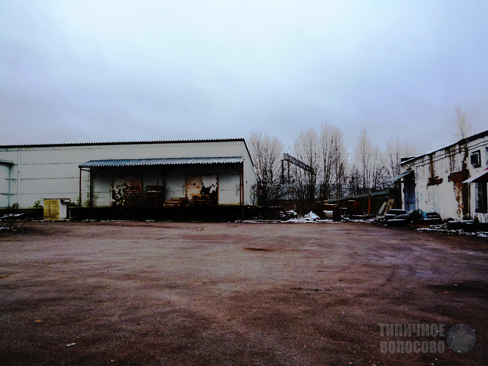 Abandoned dairy plant in Volosovo - My, Abandoned, Dairy, Volosovo, Leningrad region, Longpost