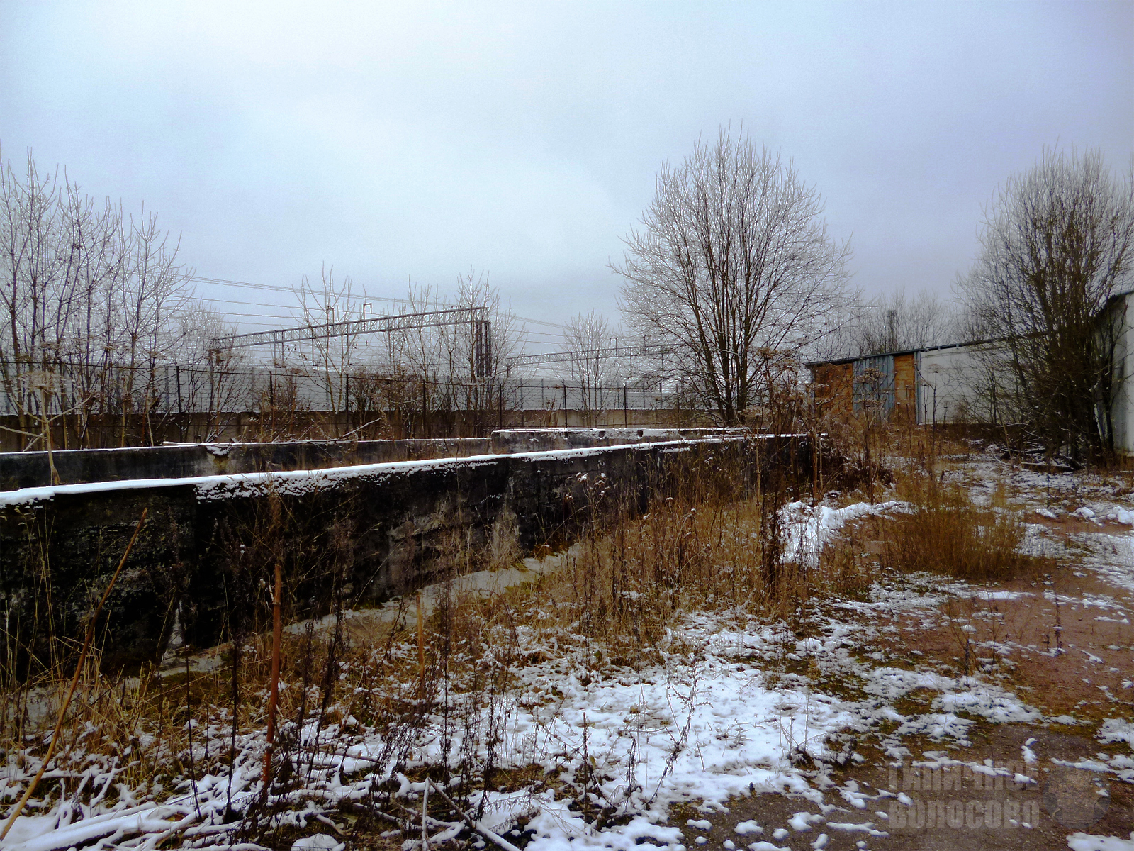 Abandoned dairy plant in Volosovo - My, Abandoned, Dairy, Volosovo, Leningrad region, Longpost