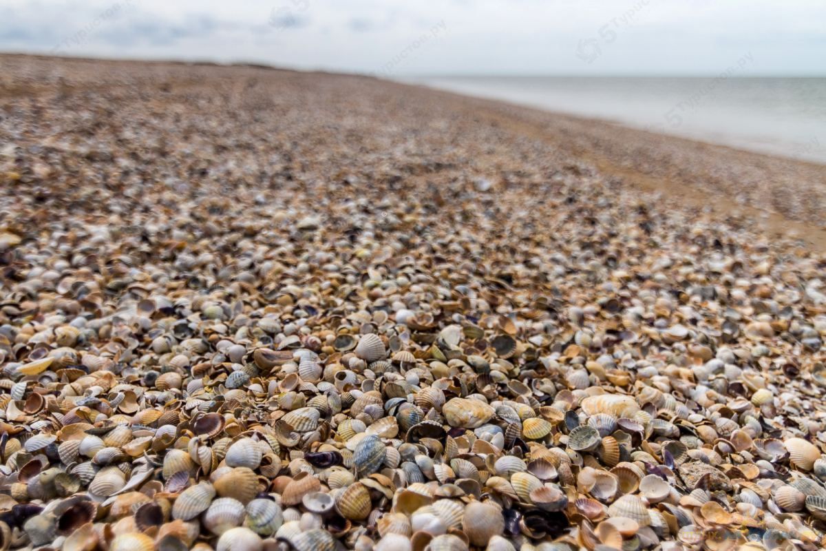 Krasnodar Territory, Yeisk District, Art. - My, Azov sea, Relaxation, Leisure, Longpost