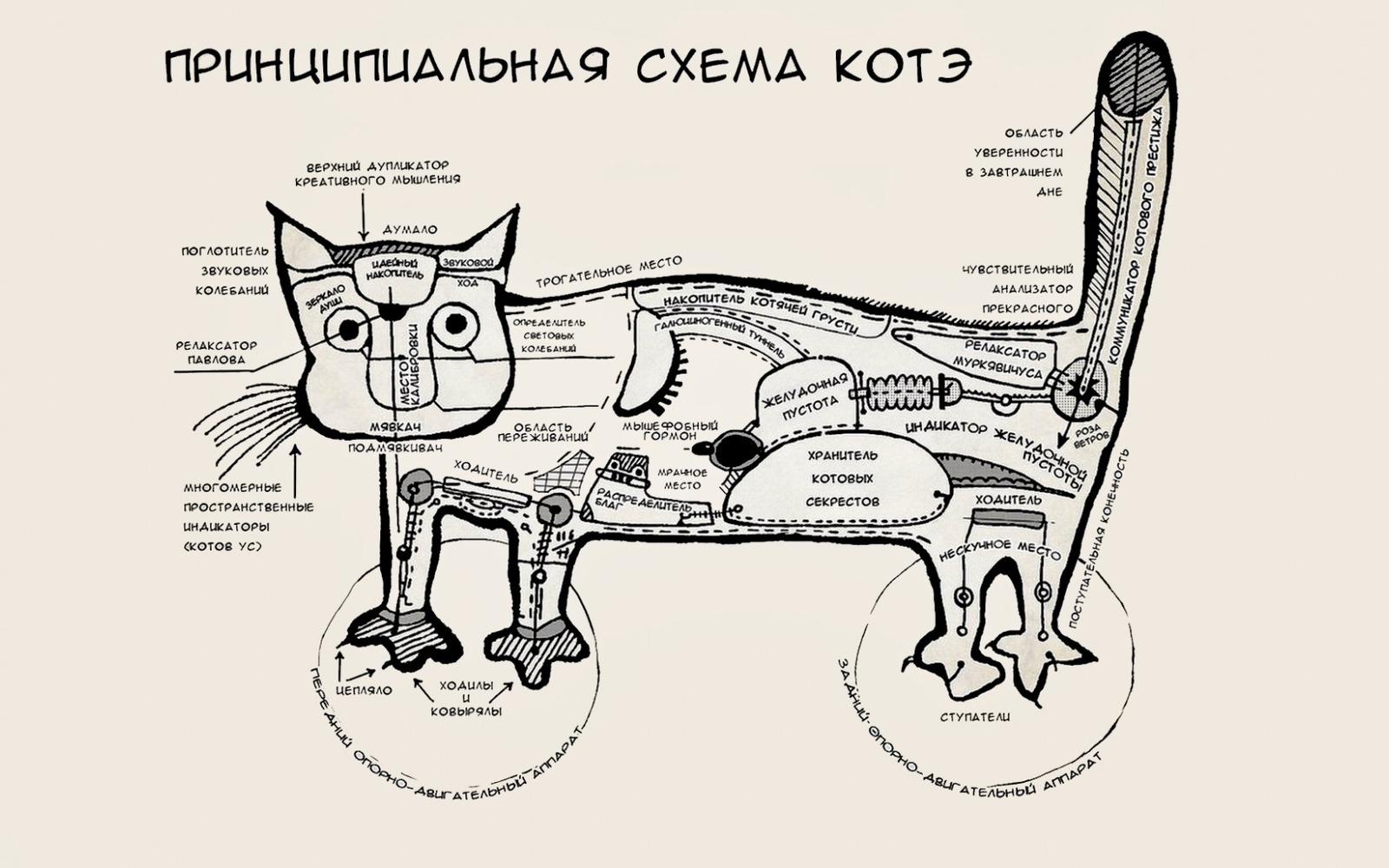 Схема - Гудфон, Схема, Кот