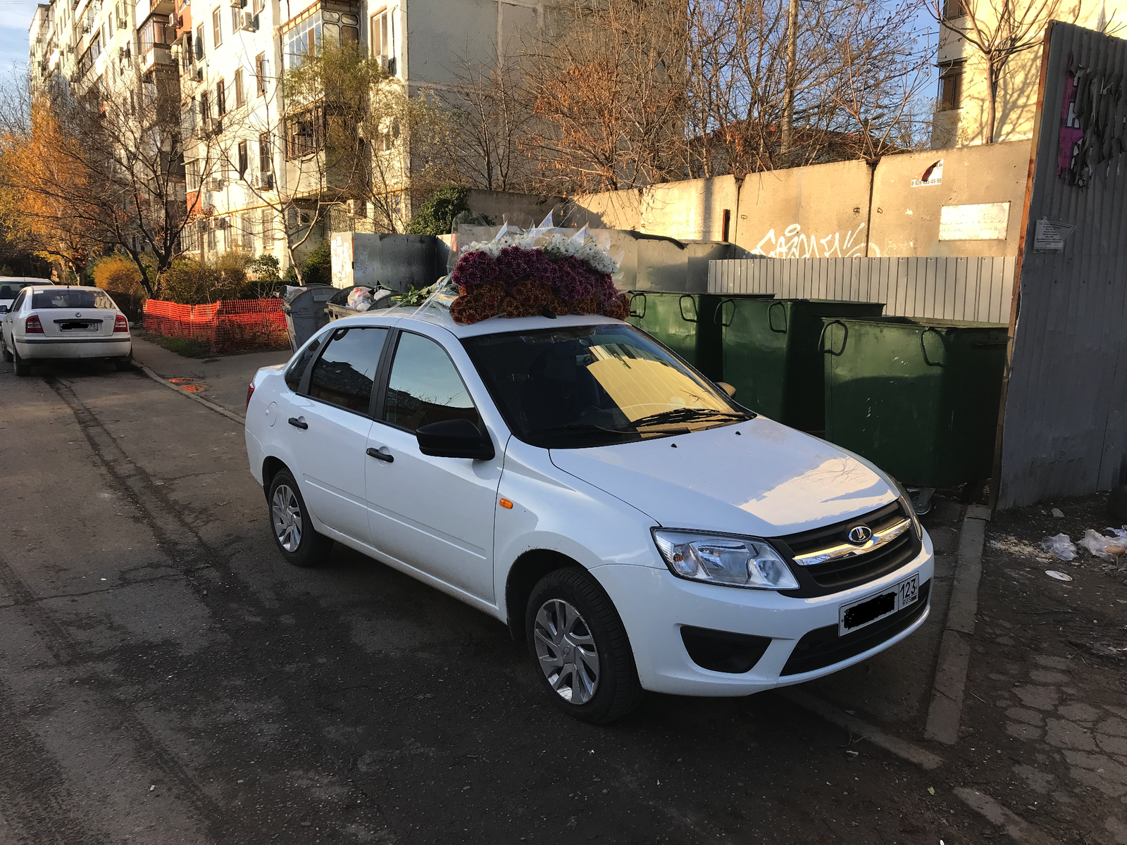 I will deliver safe and sound! - My, Aerodynamics, Flowers, Krasnodar