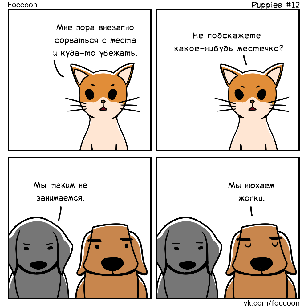 Dogs #12 - Comics, Dog, cat, Animals, Foccoon, Puppies