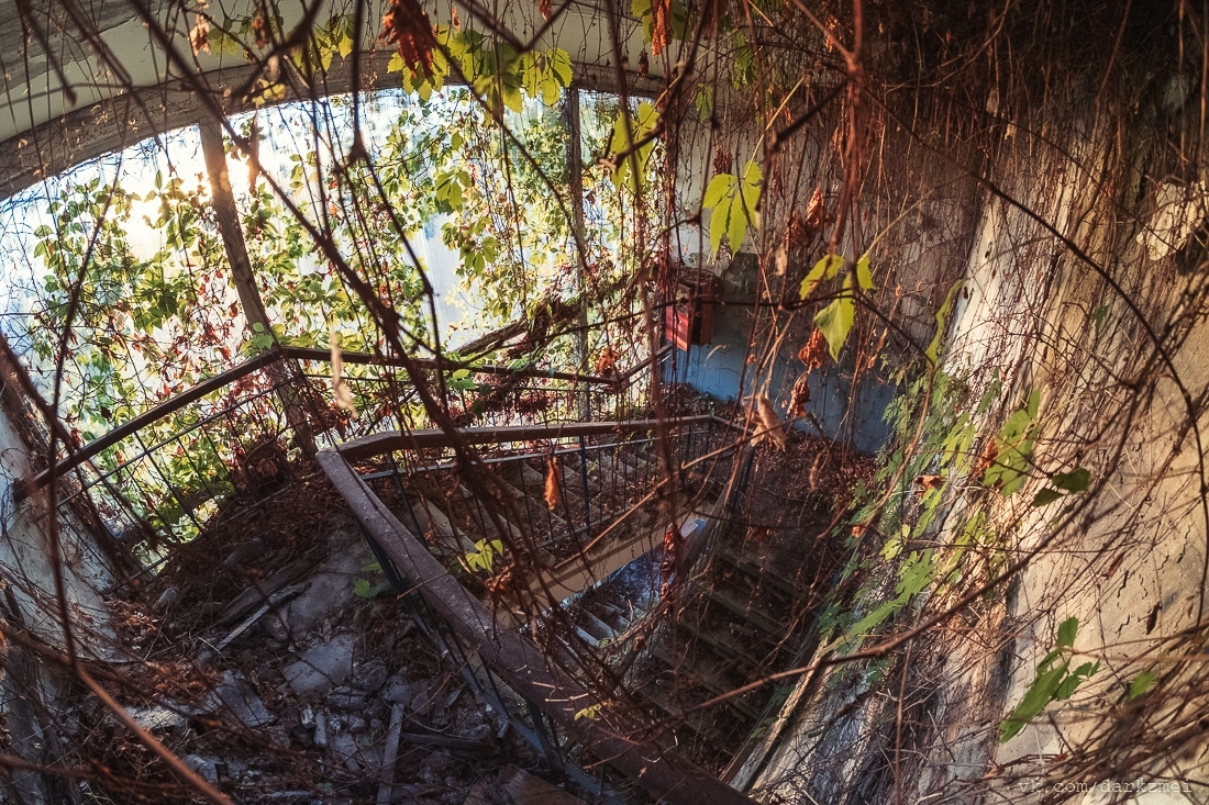 Abandoned and overgrown resort - My, Abandoned, Abandoned, , , Sanatorium, Urbanturism