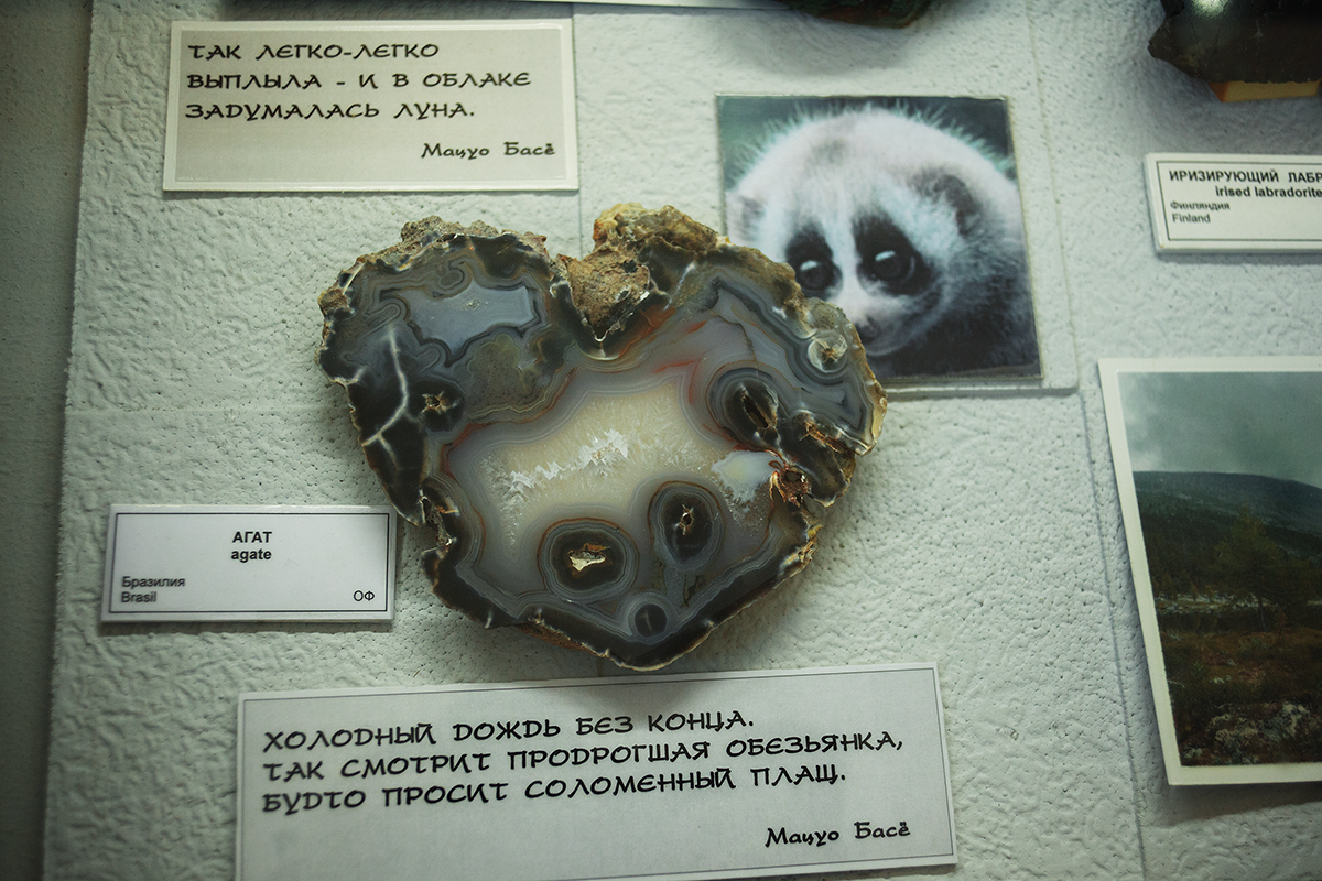 Geological Museum named after F.N. Chernyshev. St. Petersburg - My, My, Saint Petersburg, Longpost